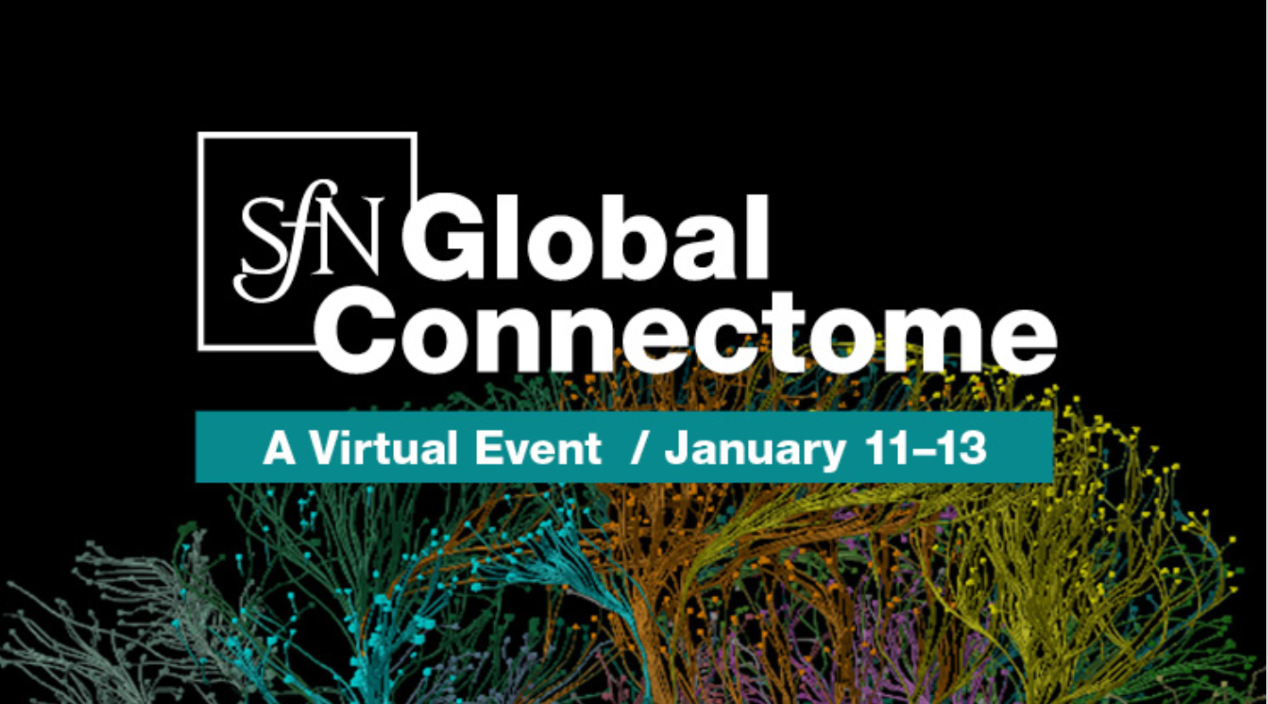 SfN Global Connectome