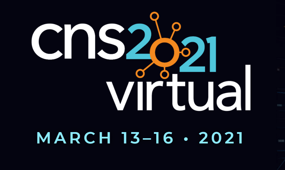 CnS 2021 Virtual logo