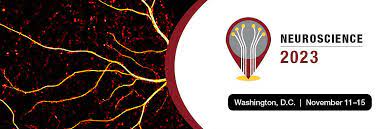 Information for SfN's Neuroscience 2023 in Washington, D.C.