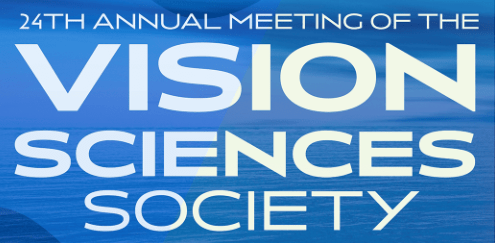 Information for 24th Annual Meeting of the Vision Sciences Society