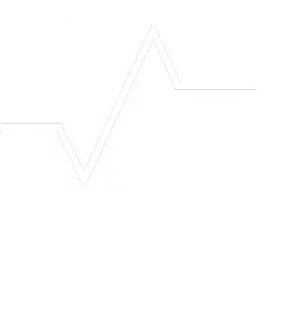 Brain Vision brain icon